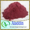 Dried Cranberry extract powder 25%Proanthocyanidin